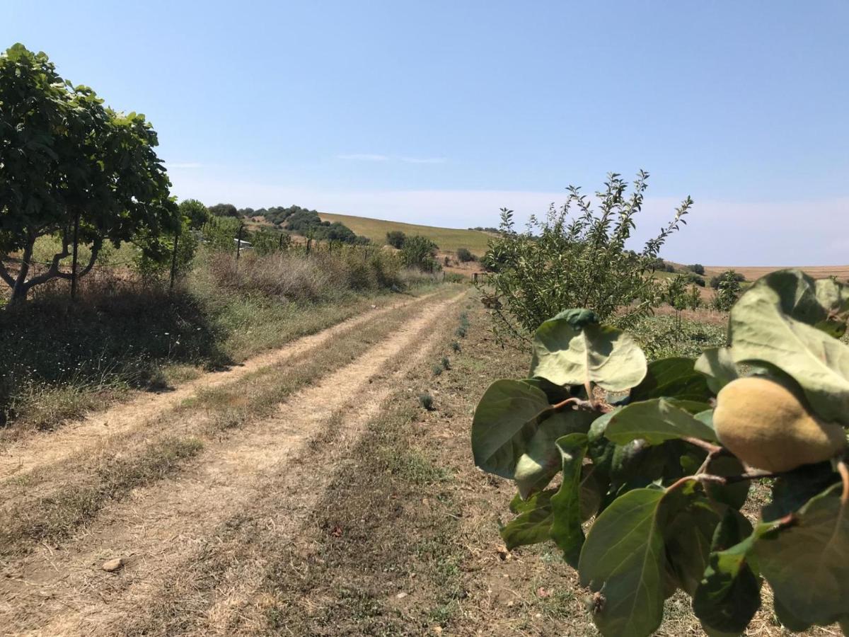 Villa Hafta sonu kaçamağı.. à Gelibolu Extérieur photo